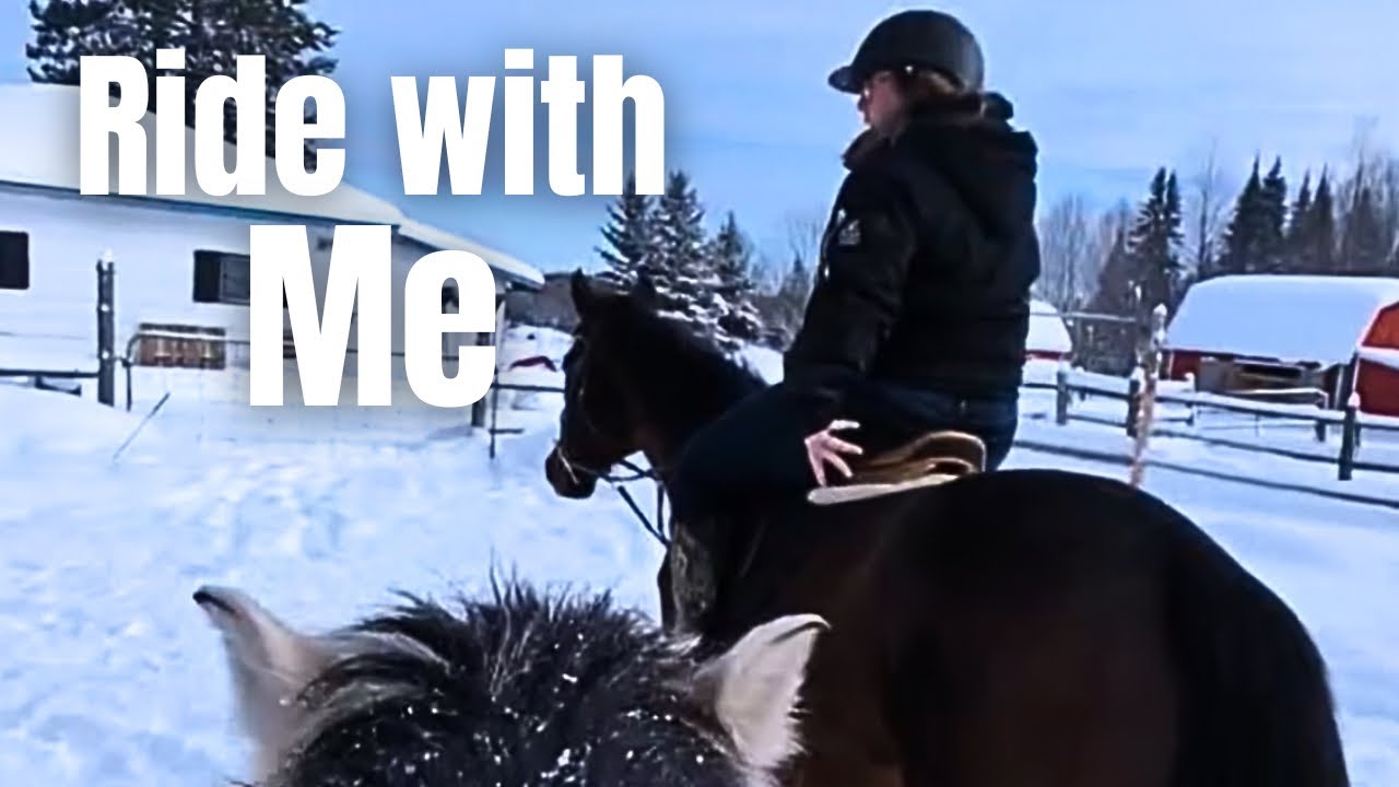 POV: Ride With Me | Training Horses This Week
