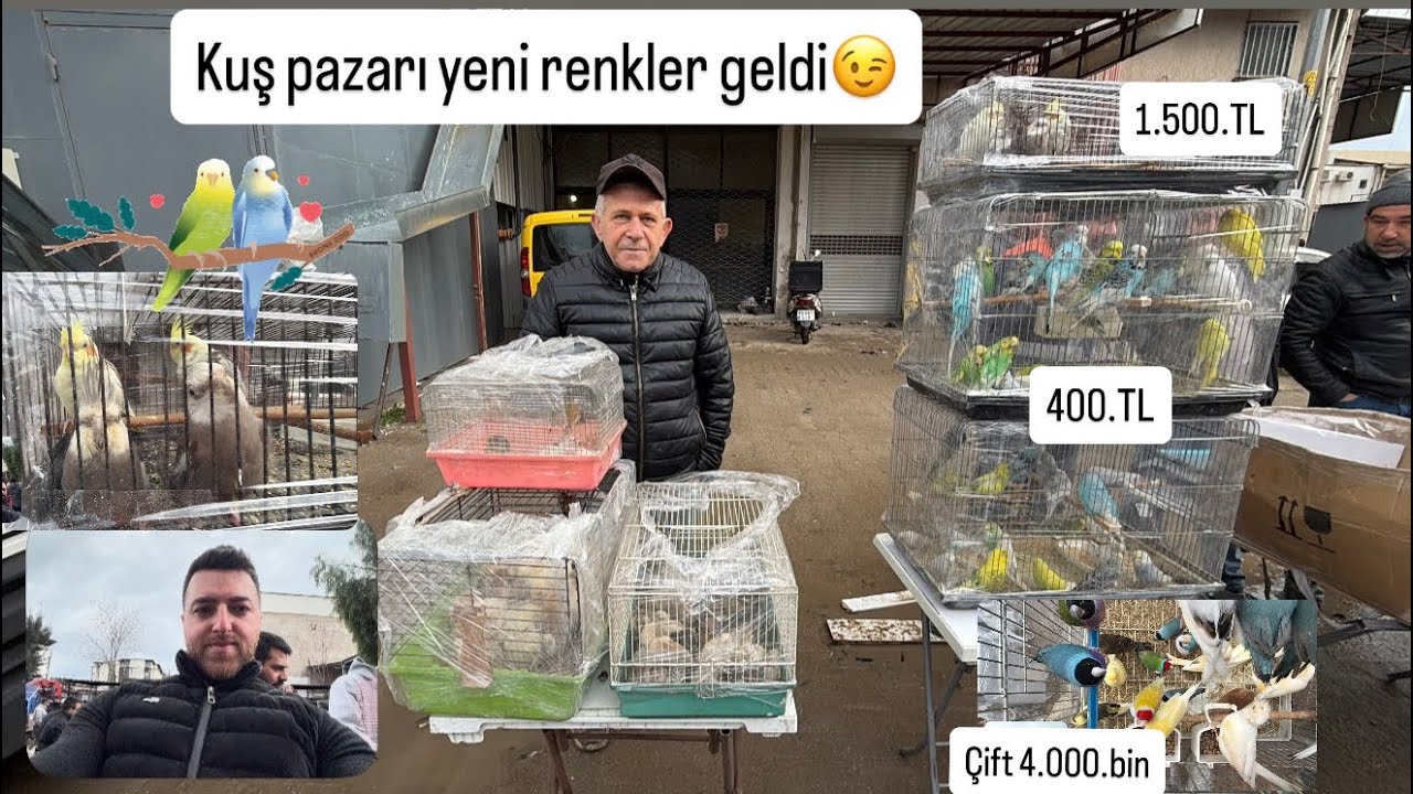 2026.İzmir kuş pazarı Yağmur da bile açık Yeni kuşlar geldi insanlar akın ediyor ucuz güzel kuşlar😉