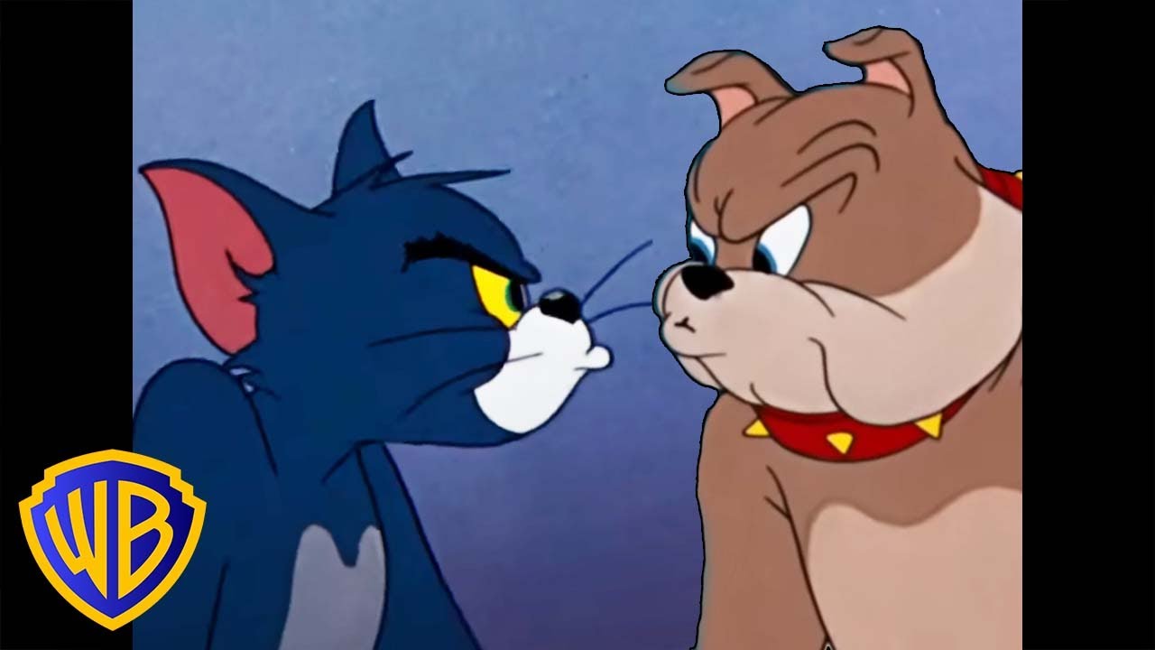 Gatti contro Cani 🐱🐶 | Animali alla riscossa | Tom & Jerry in Italiano 🇮🇹 | @WBKidsItaliano