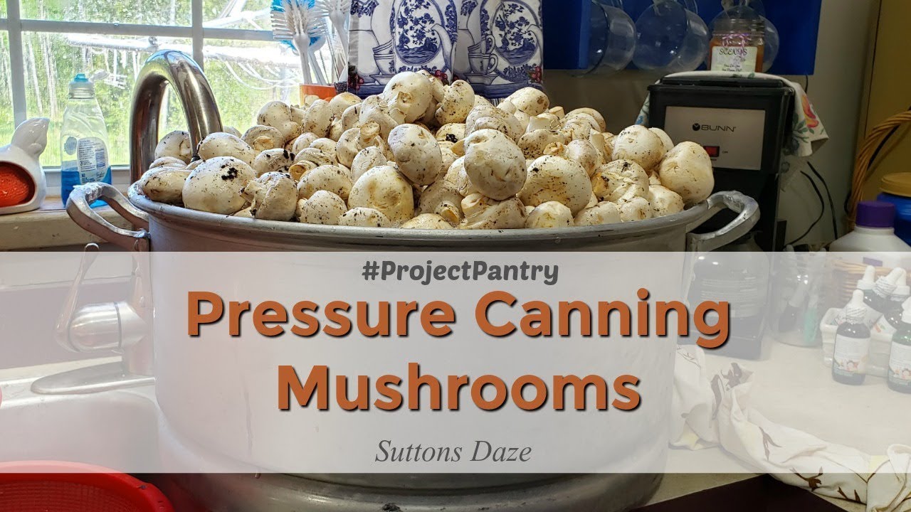Pressure Canning Button Mushrooms