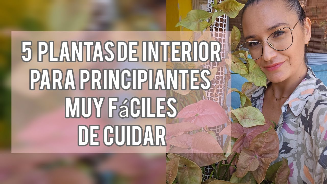 5 plantas de interior de fácil mantenimiento y muy poco riego / Jardín Suculento