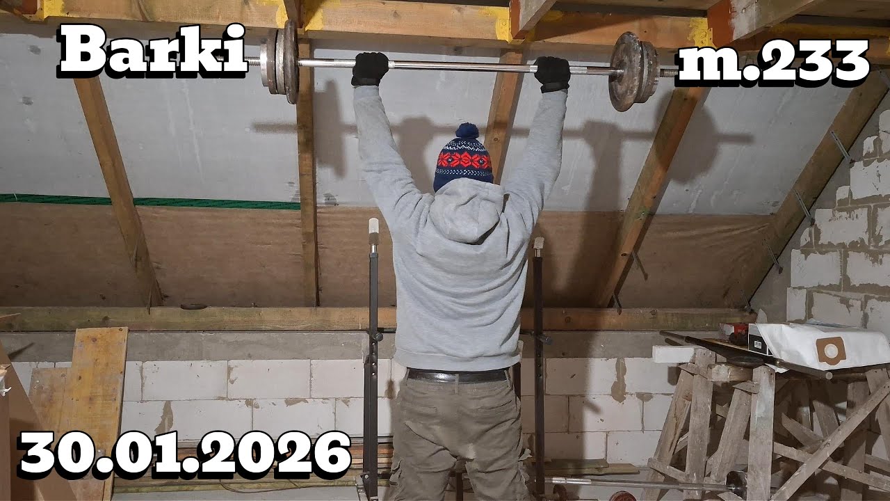 Vibe. Trening Barki/Brzuch