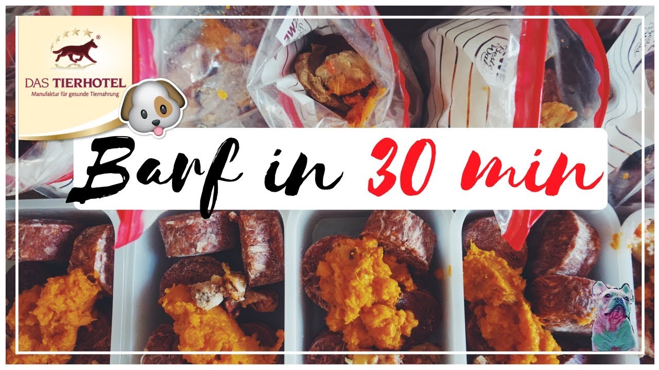 BARF IN 30 MIN PORTIONIEREN
