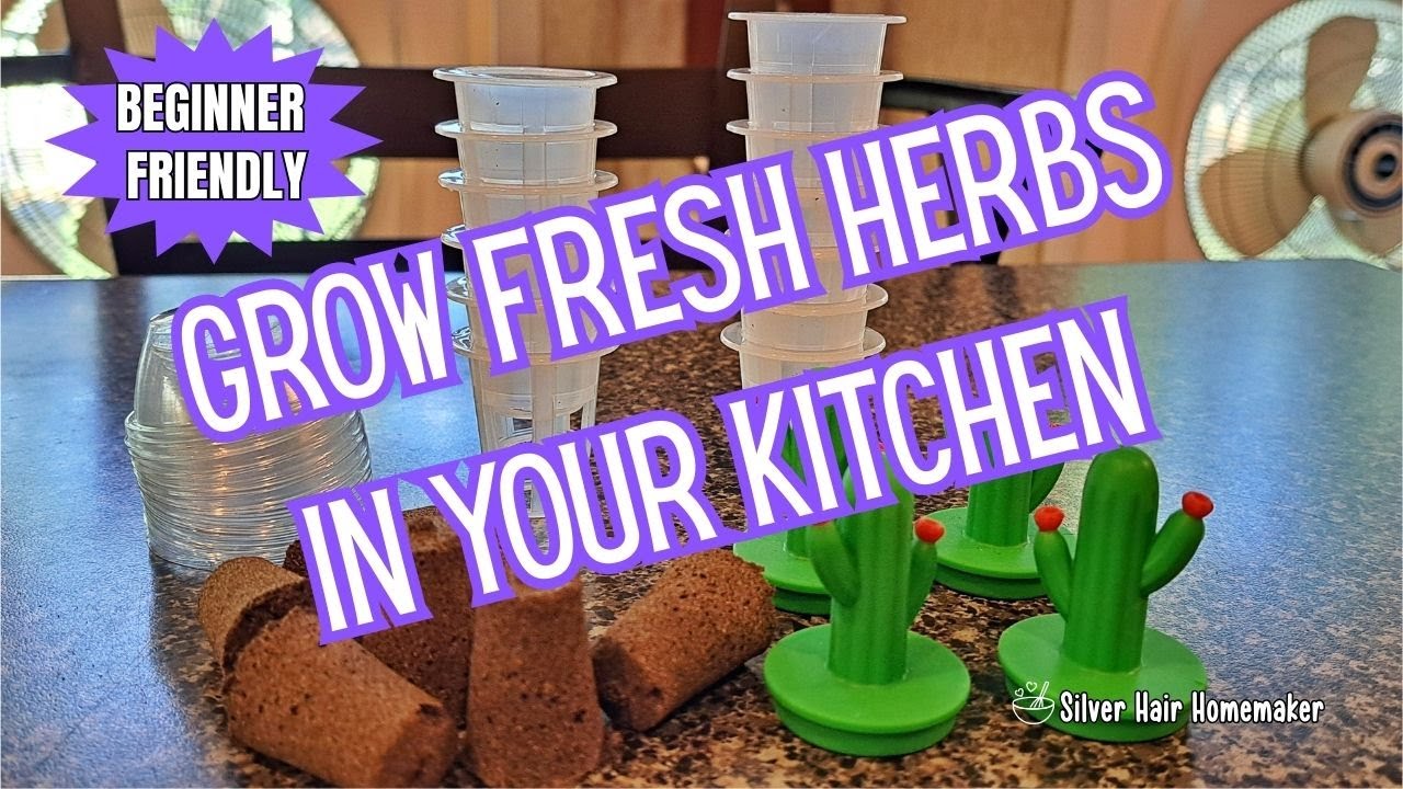 GROW FRESH HERBS FAST!!! BEGINNER FRIENDLY HYDROPONICS 