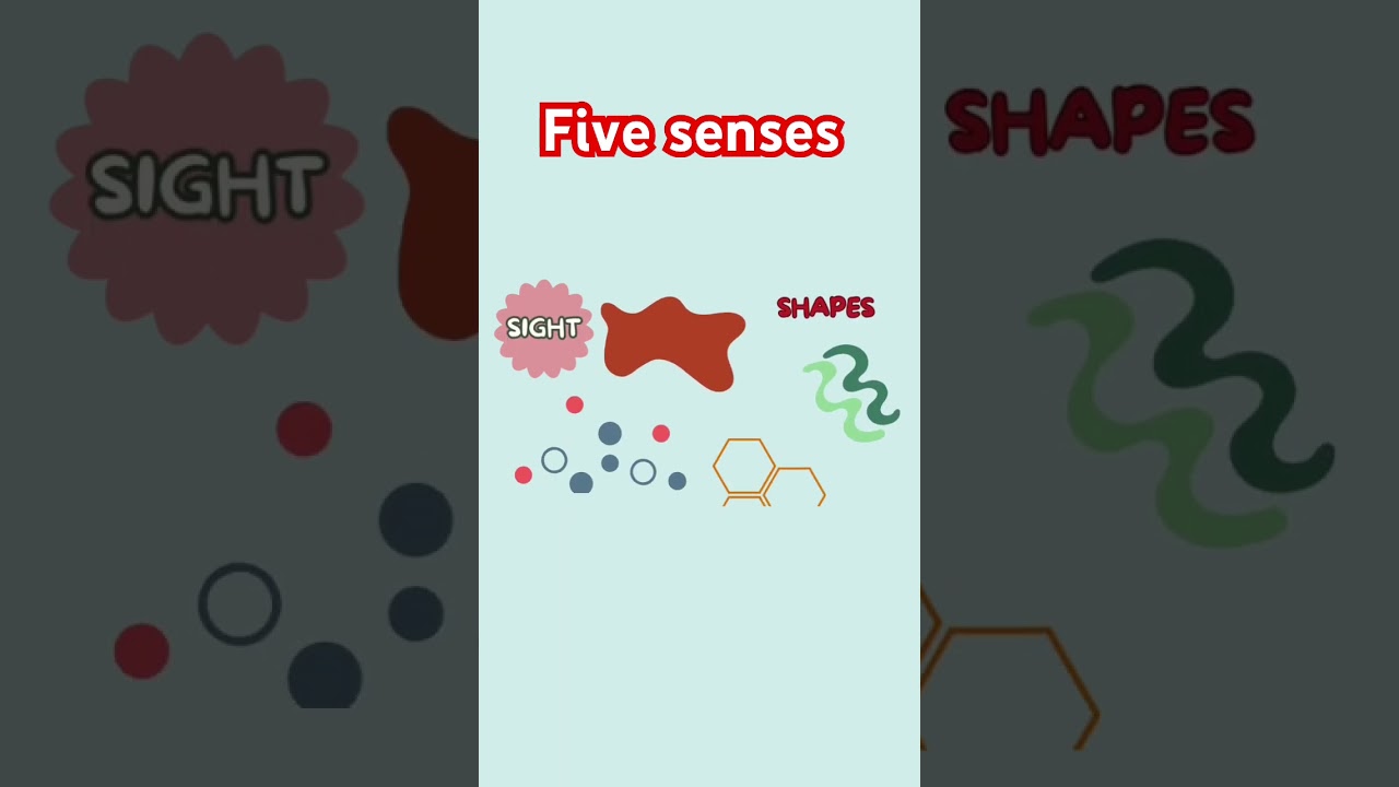 Five senses#eyes #sight #facts