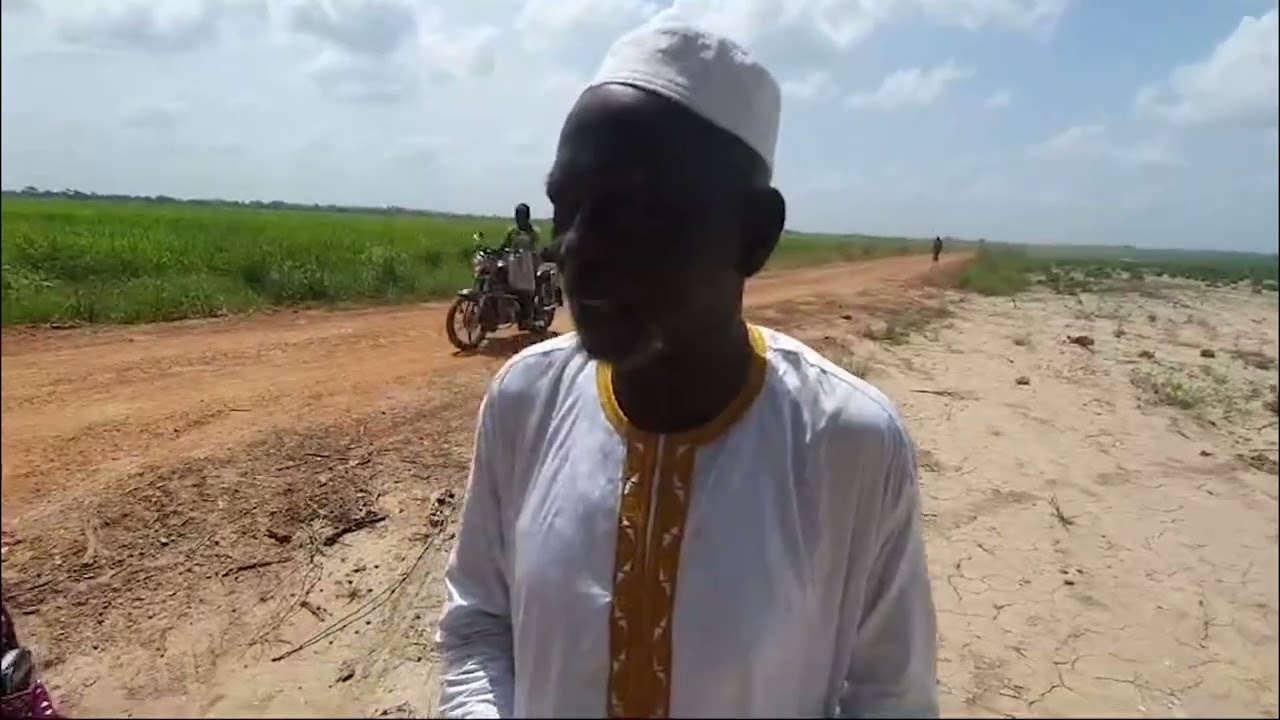 Jah Oil Company Expands into Rice Farming to Boost Gambia's Food Security