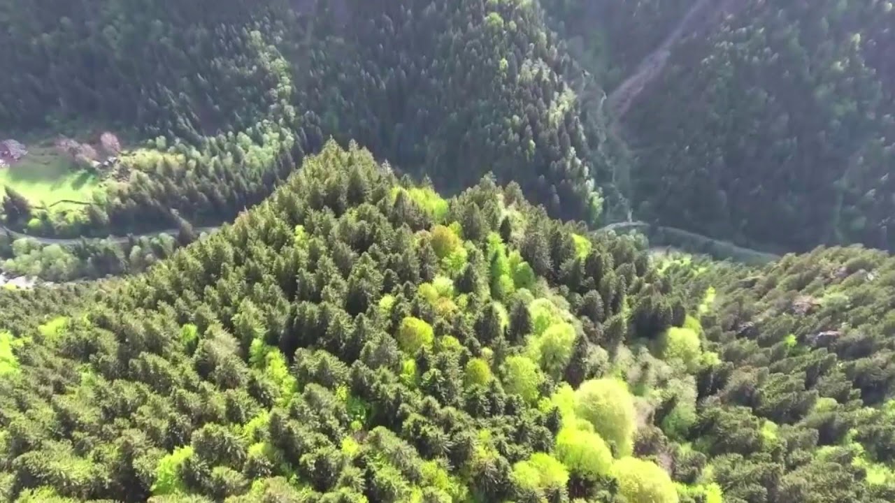 ДОКАЗАТЕЛЬСТВО