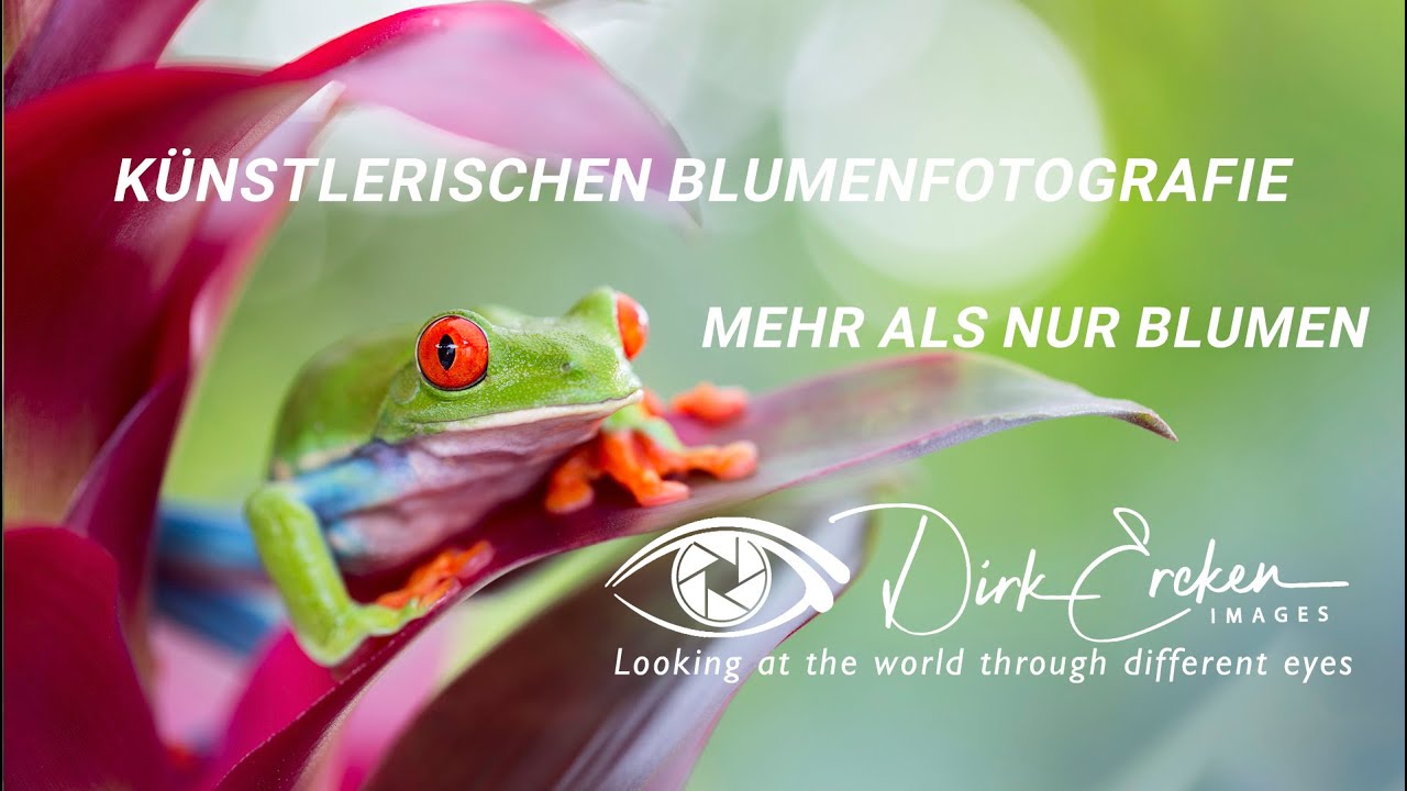 Mehr als nur Blumen - Meisterkurs künstlerische Blumenfotografie