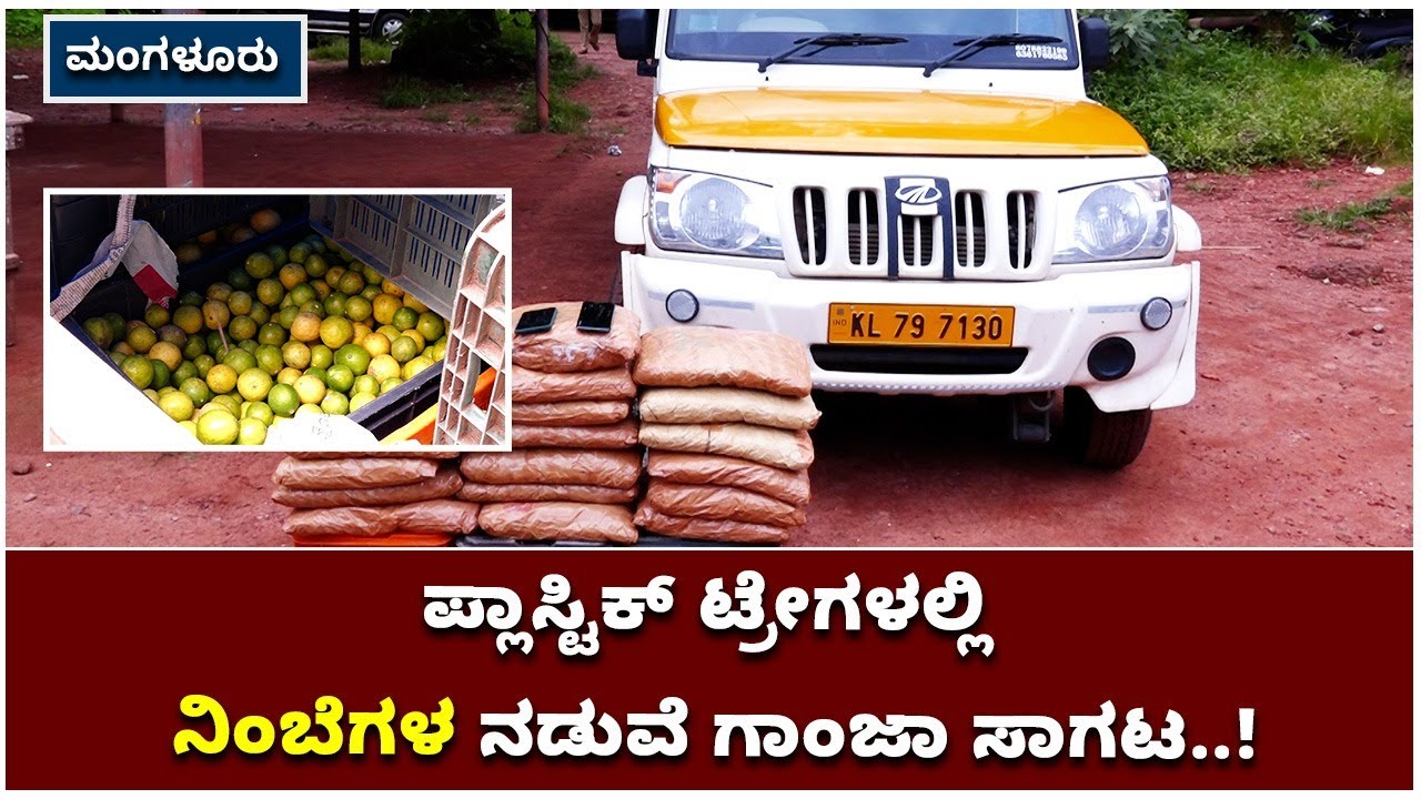 Mangaluru Police Arrest Drug Dealers From Kerala | ನಿಂಬೆ ಗಣ್ಣುಗಳ ನಡುವೆ ಗಾಂಜಾ ಸಾಗಾಟ | Vijay Karnataka
