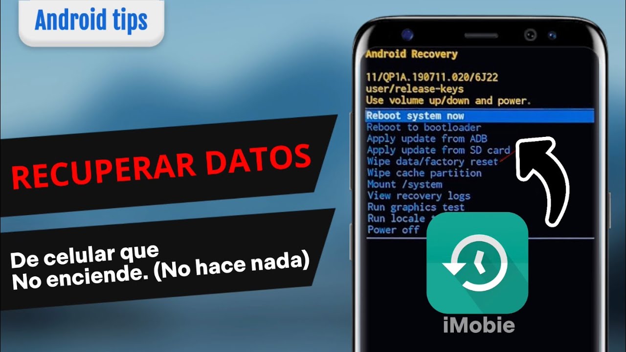 C&oacute;mo RECUPERAR Archivos de un celular que no prende o no enciende (Fotos, Videos, WhatsApp, etc.)