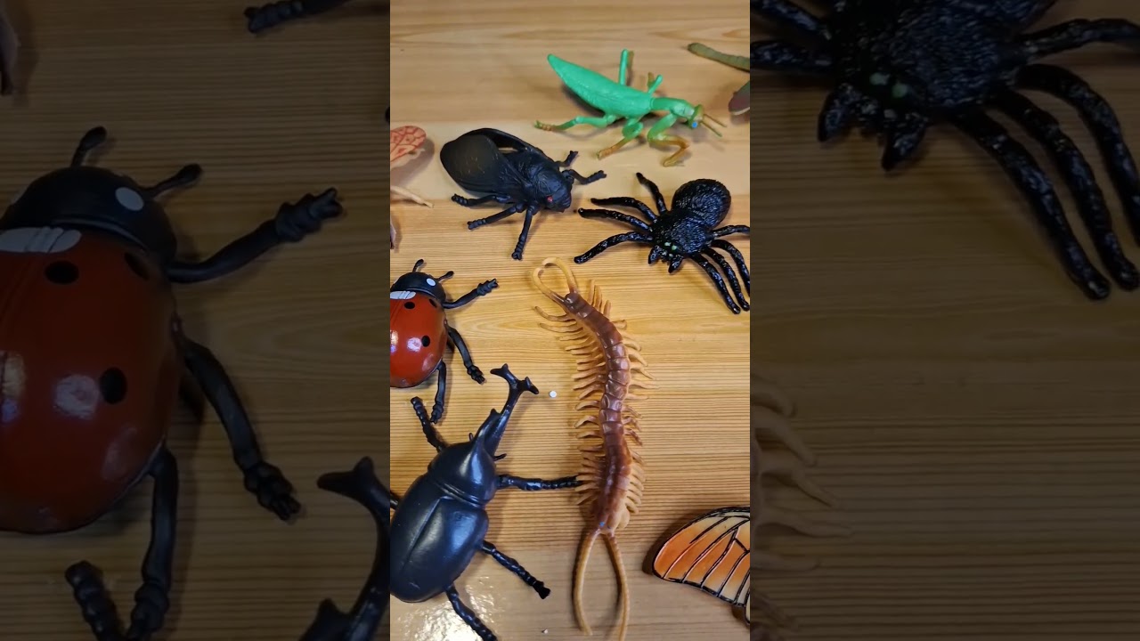 insect animal toy collection