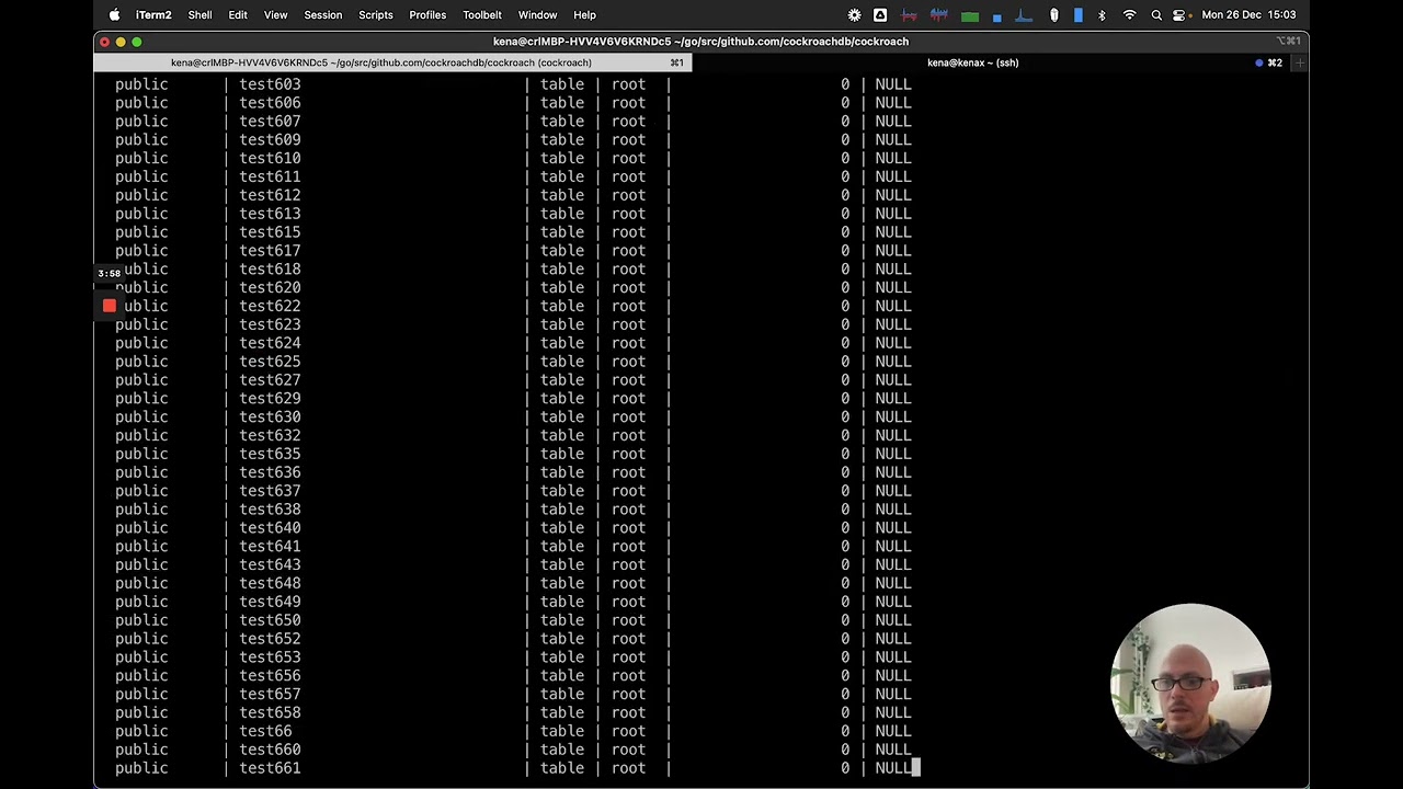 Generate very large schemas automatically in CockroachDB