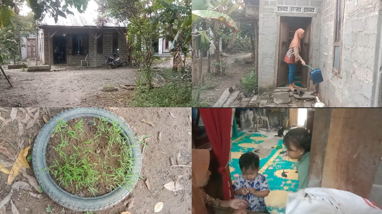 Kegiatan irt desa di sore hari sambil menikmati suasana pedesaan