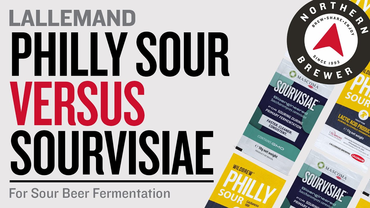 Philly Sour vs. Sourvisiae | Homebrew Sour Beer with Lallemand Brewing