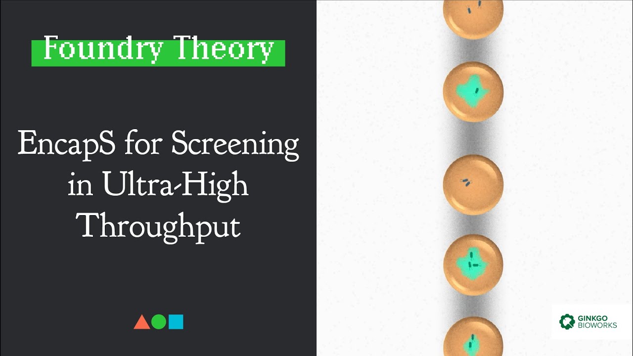 FT007 - EncapS for Screening in Ultra-High Throughput