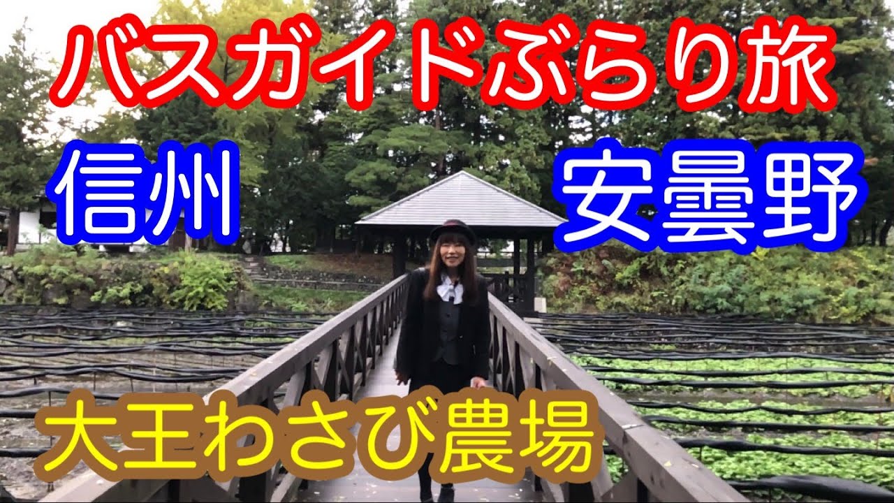 バスガイドぶらり旅  vol.37  安曇野 大王わさび農場