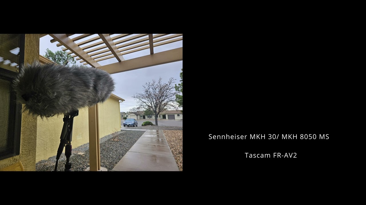 Ambient recording/Field Recording/ Sennheiser MKH30-8050/ MKH 8030-8040 MS