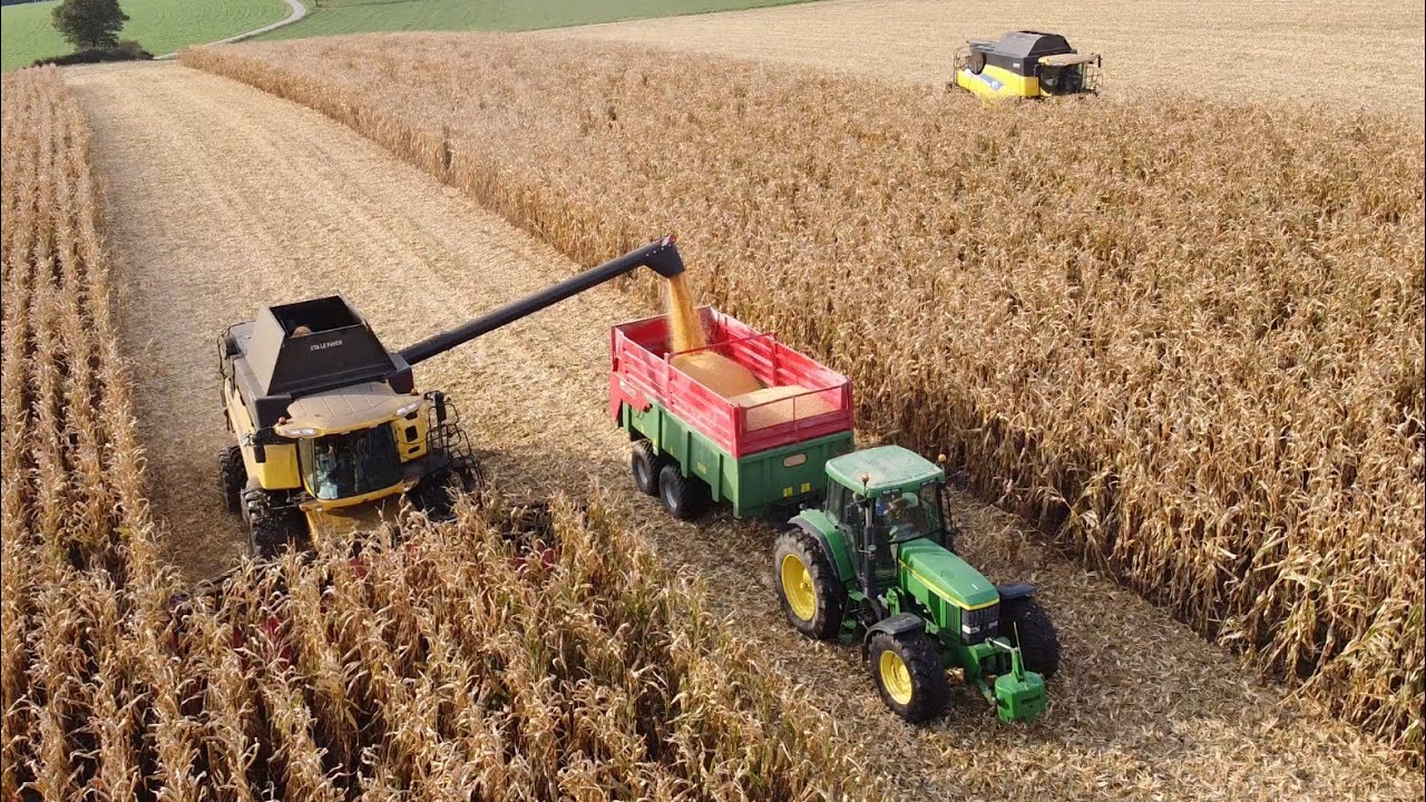 😱 XL battage & broyage de maïs humide 🌽/Cr 9090 vs 9080/Eta Le Paven & Eta Bernard 🇨🇵