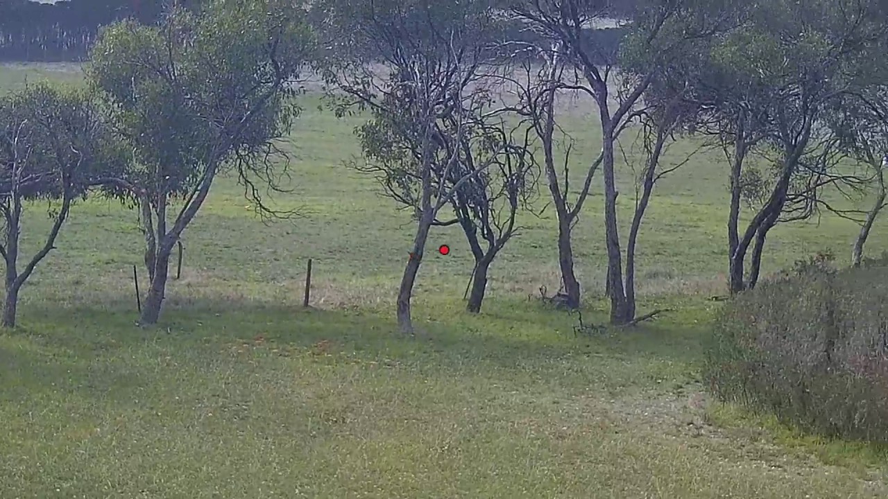 Field & Game Westernport -