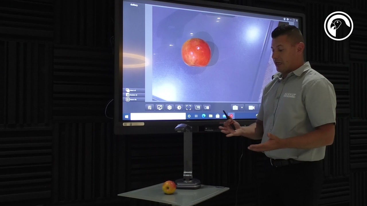 Parrot Products Visualizer Presenter Econo (VZ0001)