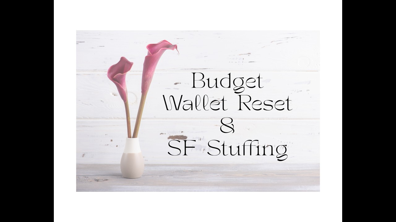 Budget/Wallet Reset/Cash Stuffing Sinking Fund (#149) **GIVEAWAY WINNERS**