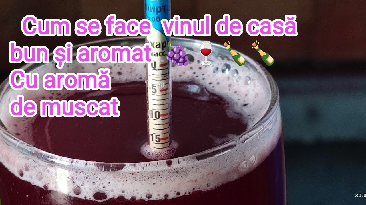 Cum facem un vin🍇🍷🍾bun si tare aromat ,măsurarea nivelului de zahăr din must