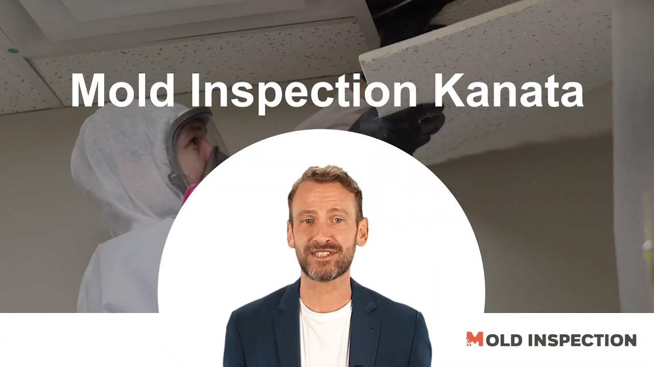 Mold Inspection Kanata - MoldInspection.ca - 613-912-1889 #moldinspection