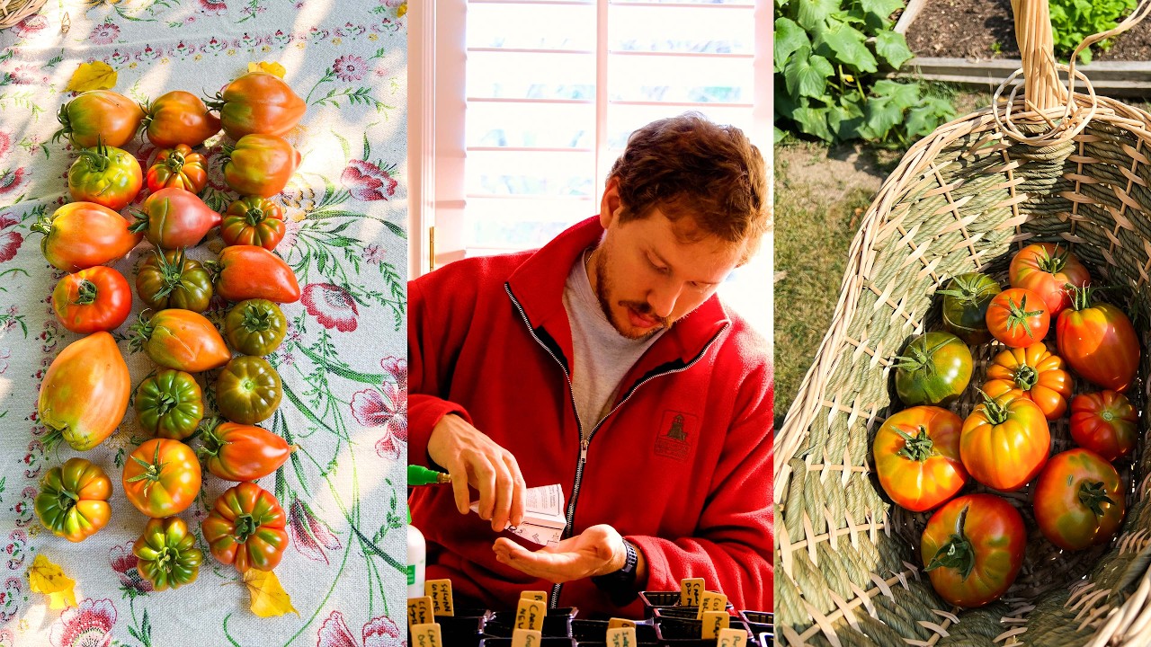Starting 20 RARE Heirloom Tomato Varieties! 🍅🌱 | Seed Starting