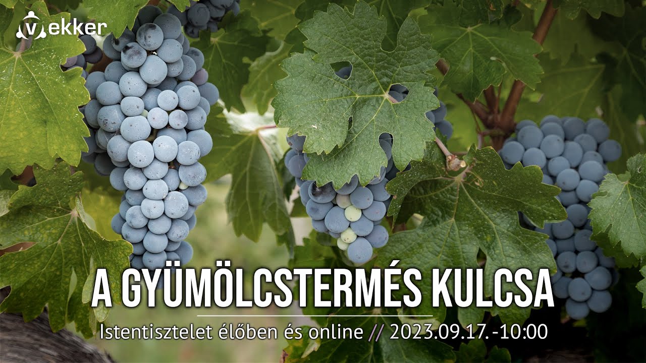 A GYÜMÖLCSTERMÉS KULCSA - Fóris Tamás