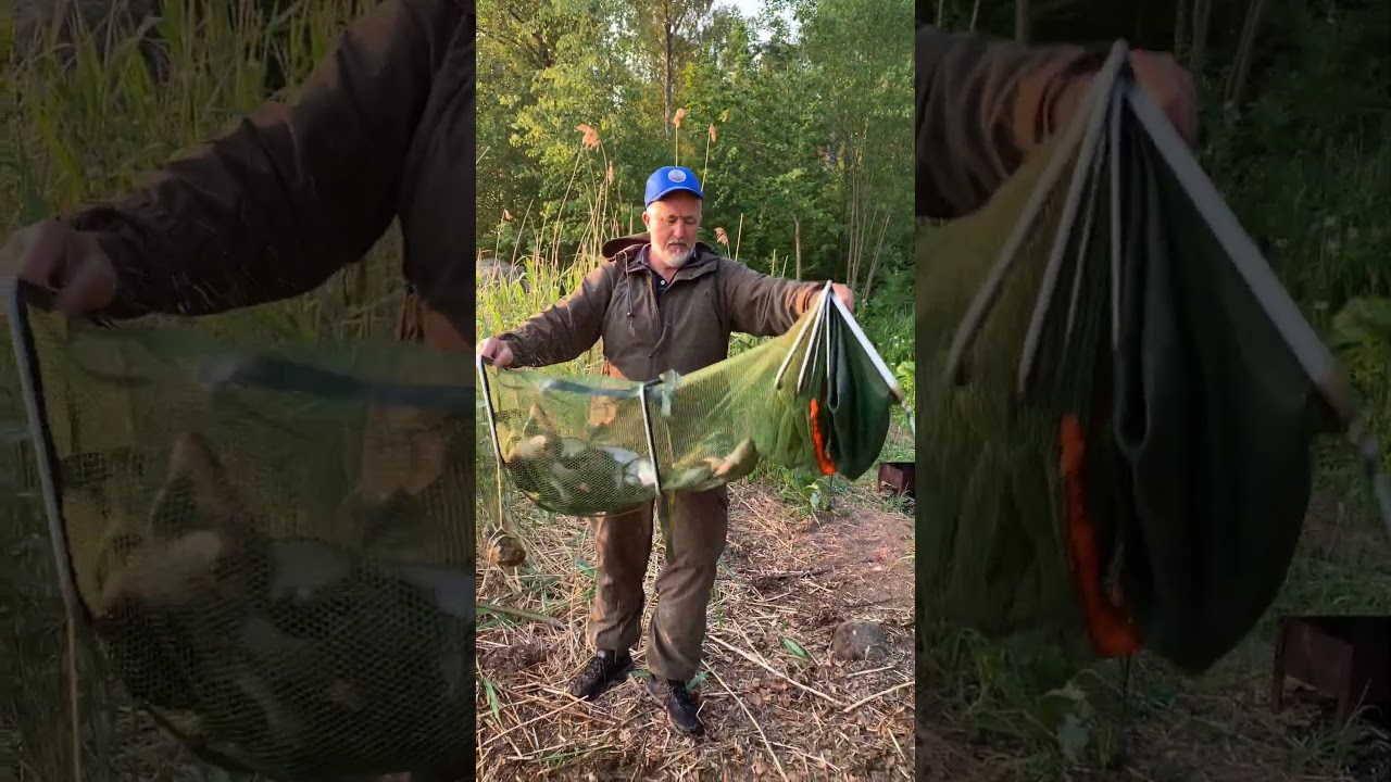 15.06.23 ПРЕКРАСНЫЙ УЛОВ. Фидер. Great catch. Feeder. Feeder fishing. Fishing in Russia. #shorts