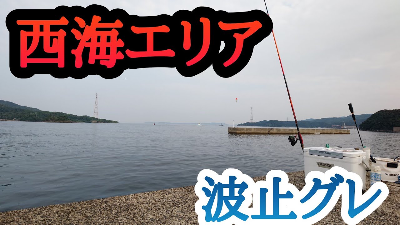 真夏⁉️西海エリア‼️波止グレ‼️マジカグレ❗