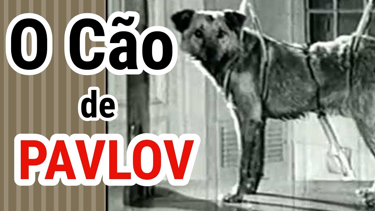 #47 - O experimento de Ivan Pavlov ( Condicionamento clássico )