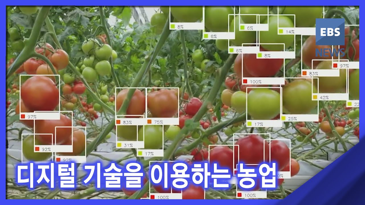 2021. 10. 28. [뉴스G] 디지털 기술을 이용하는 농업