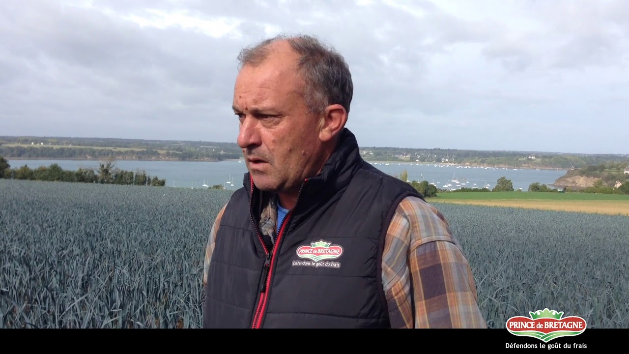 [Côté producteur] La production du poireau Bio Prince de Bretagne
