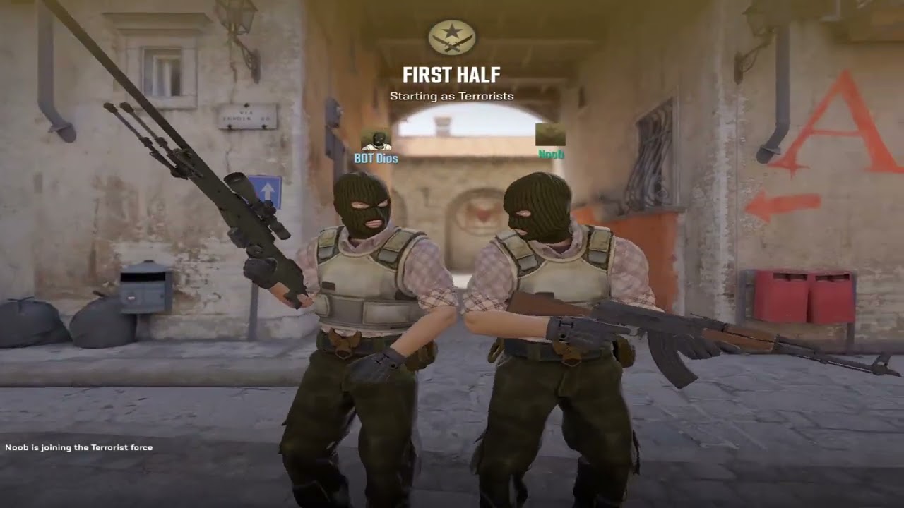 CS2 all wingman game start animations ( T and CT)