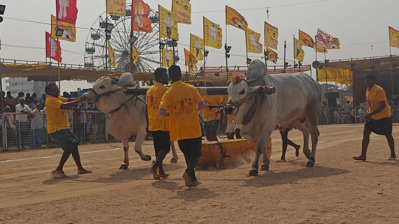 చిలకలూరిపేట న్యూ కేటగిరి 13వ మంగు రమాదేవి గారు comind కటకం. మౌనిక నాయుడు గారు...