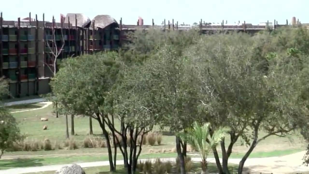 Animal Kingdom Kidani Village DVC Construction Update