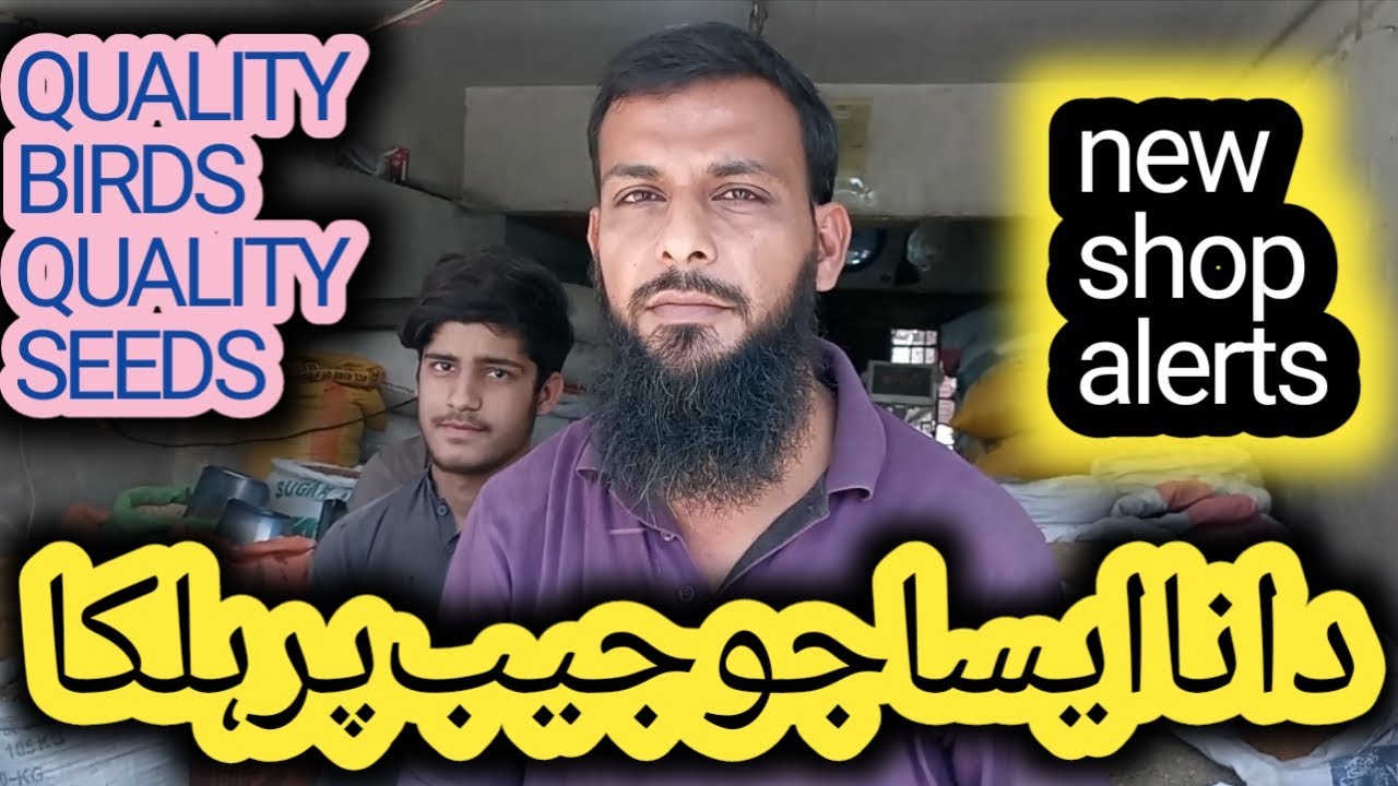 New birds seeds shop in karachi | mix seeds | all birds seeds shop