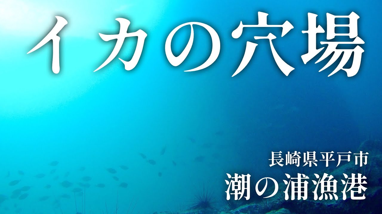 【潮の浦漁港・長崎県平戸市・海中映像】イカで有名なローカル漁港だけどポテンシャルは高い堤防を探索！#251 福岡釣部 in 福岡・糸島・北九州・長崎・平戸・佐賀・唐津・呼子・生月島・鷹島・広島・岡山