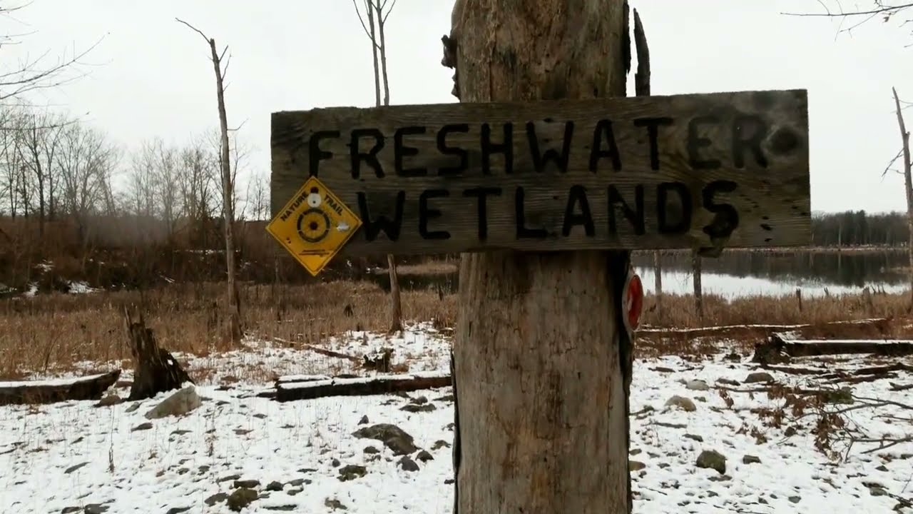Snowy walk on the Nature Observation Trail at Fancher Davidge Park with commentary in Middletown NY