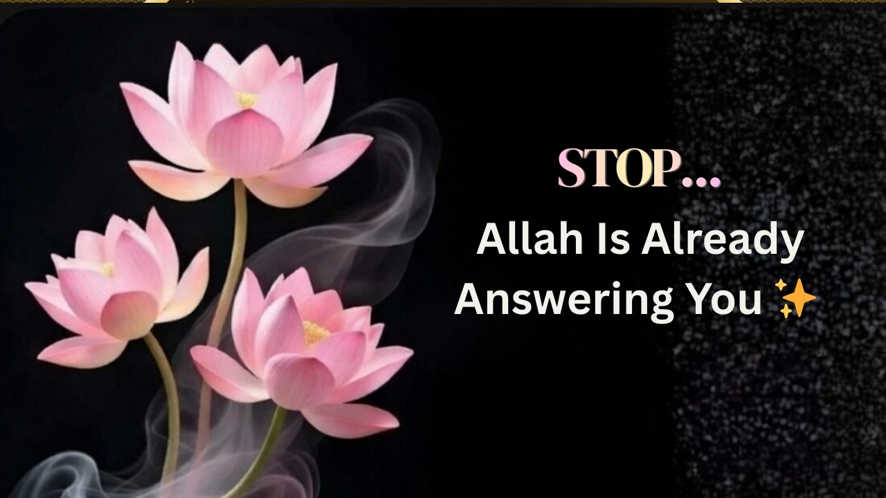 Stop...  Allah Is Already Answering You ✨