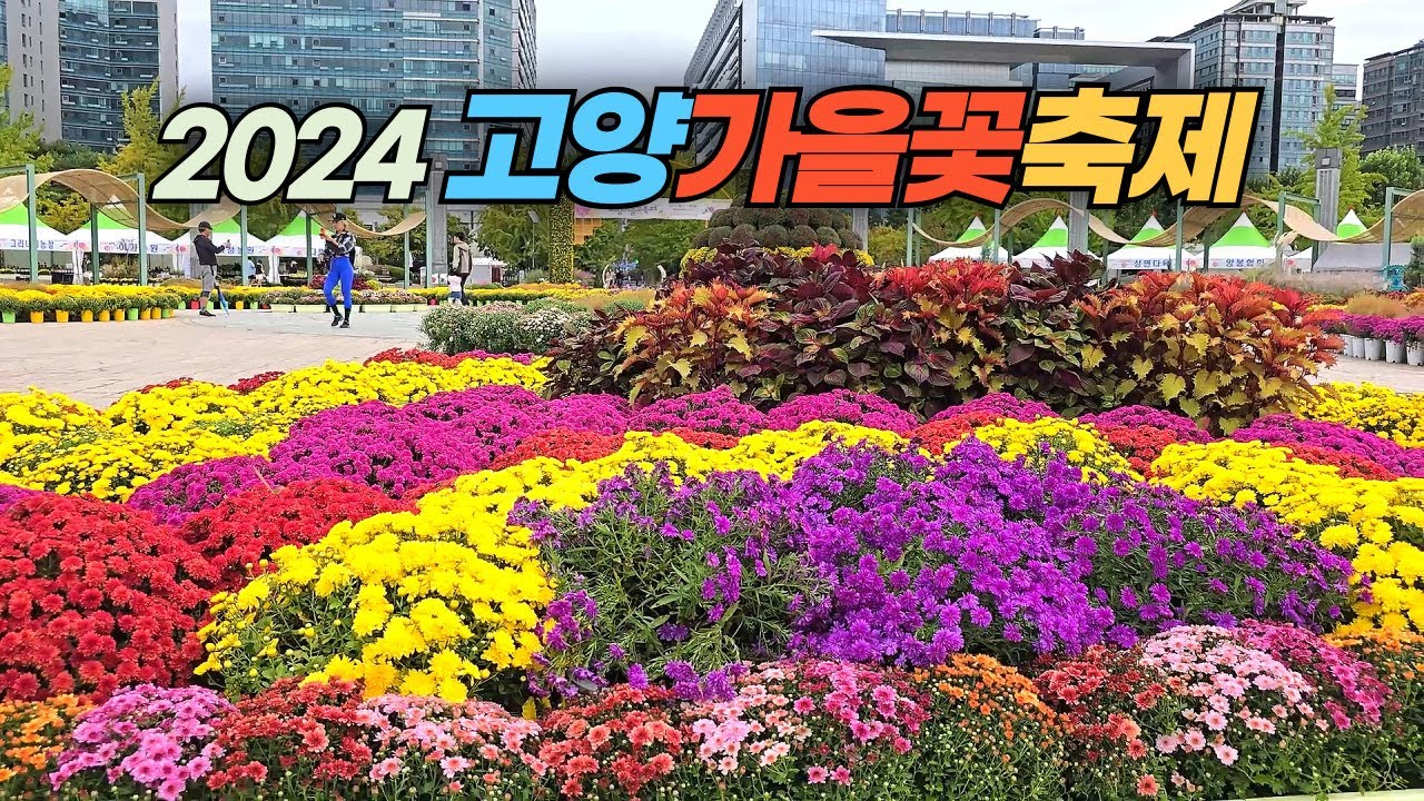 2024 고양 가을꽃 축제 Goyang Autumn Flower Festival