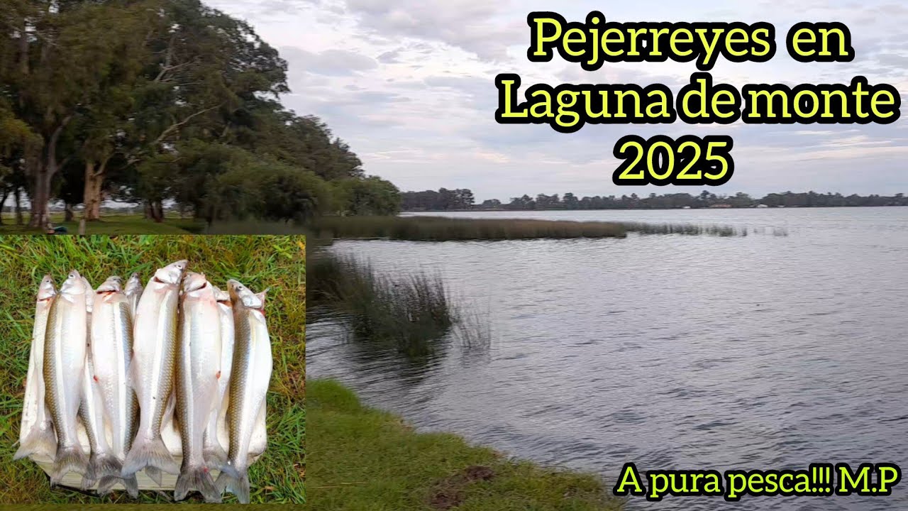 Hermosos pejes en la laguna de monte// primera pesca de pejerrey del 2025