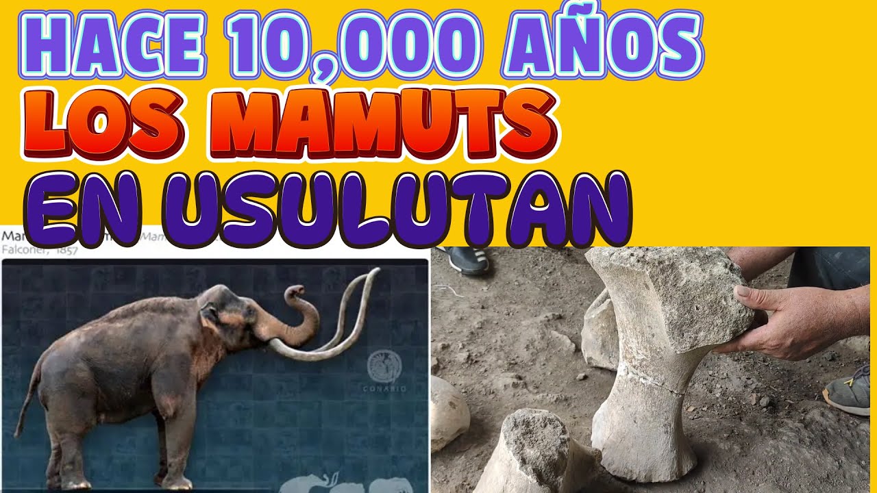 LOS MAMUTS EN USULUTAN
