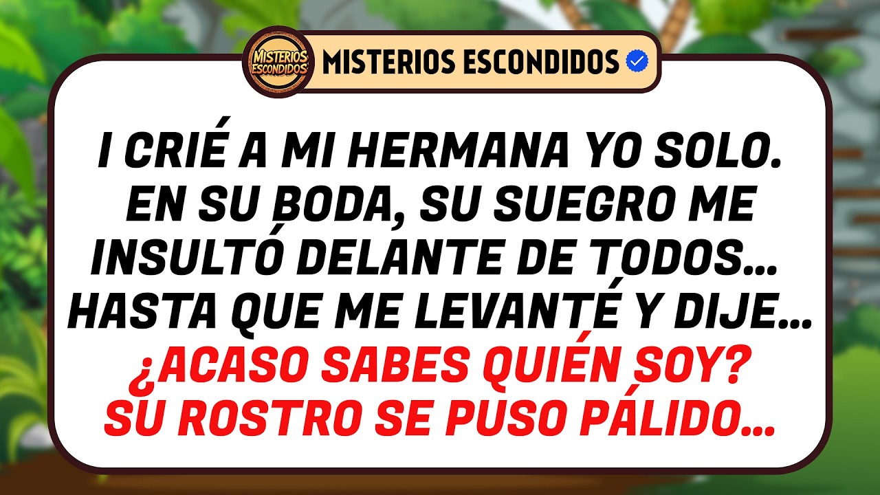 Crié A Mi Hermana Yo Solo. En Su Boda, Su Suegro Me Insultó Delante De Todos...