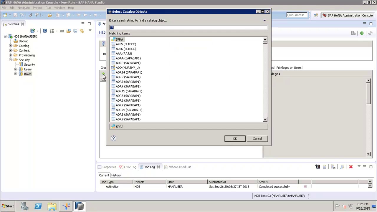 SAP HANA - Creating Role