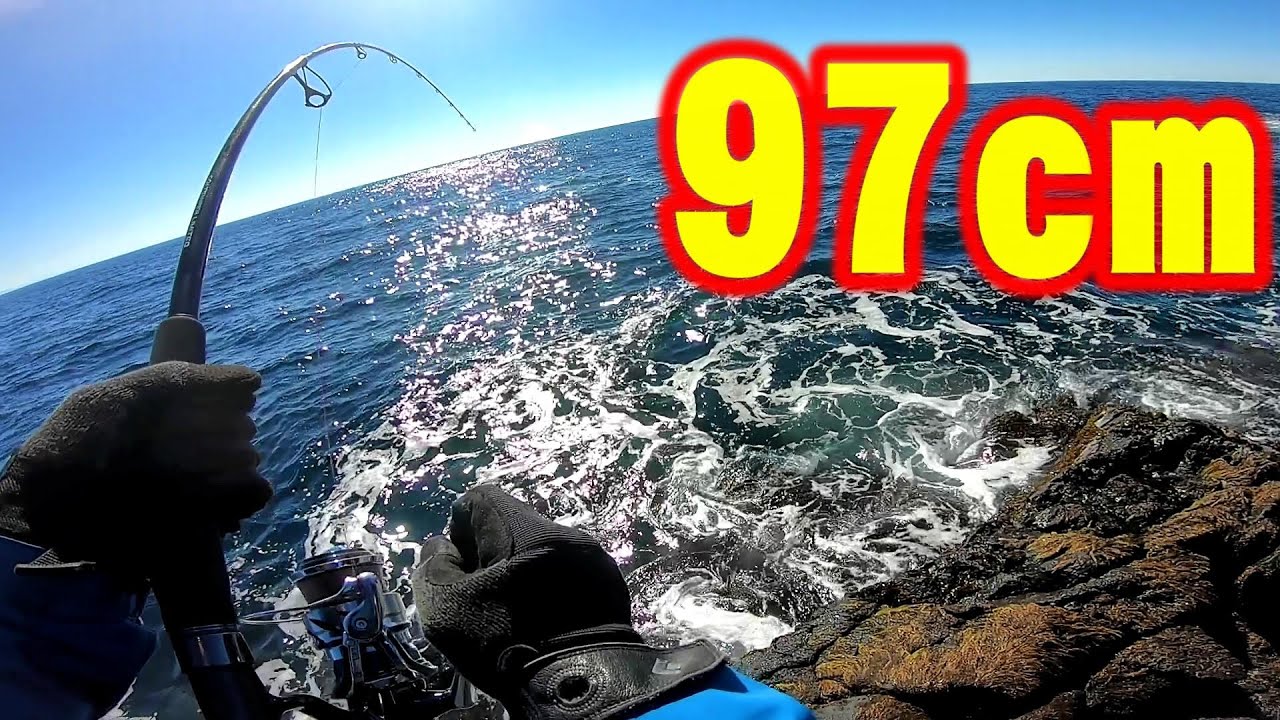 【衝撃】隠岐の島でロックショア！97cmの大物が青物最強ルアーにヒット！