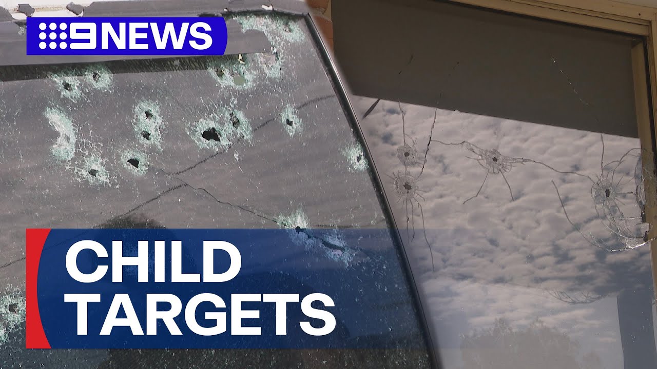 Gunman opens fire on NSW coast | 9 News Australia