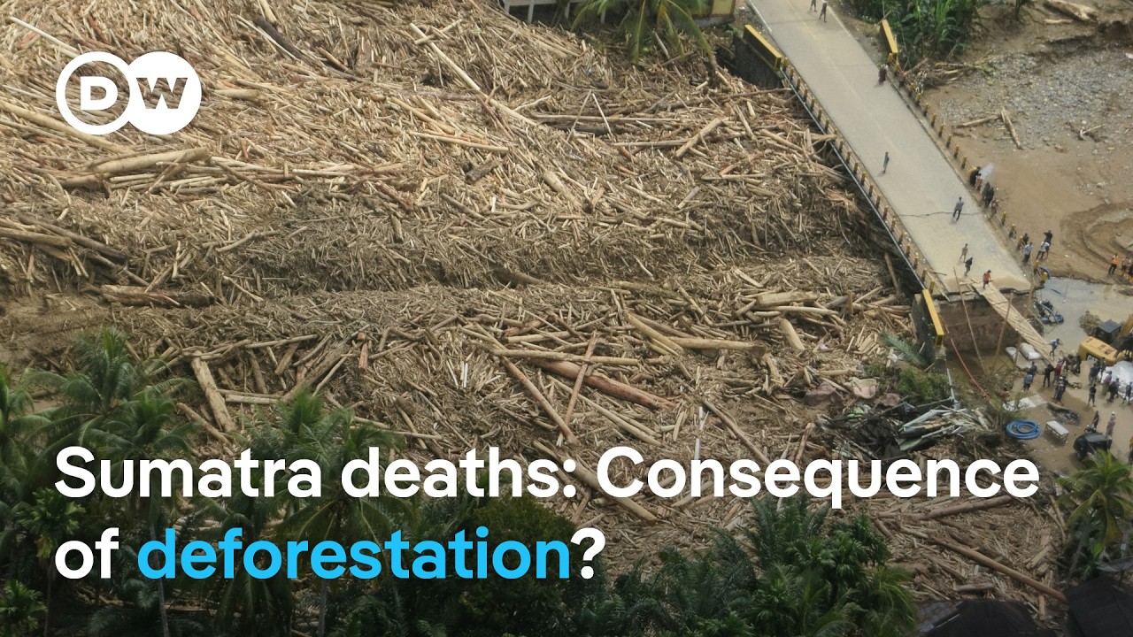 Hundreds confirmed dead as Sumatra death toll rises | DW News