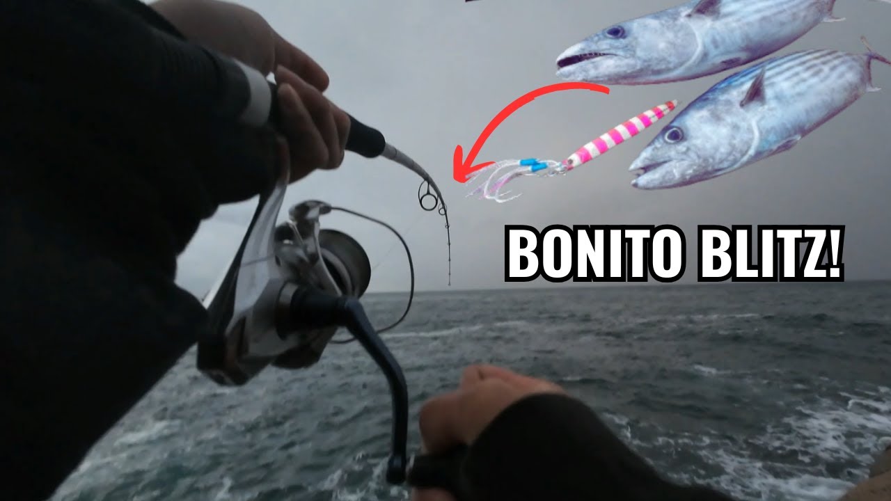 Bonito Blitz! Shore Jigging The Central Coast Rocks!
